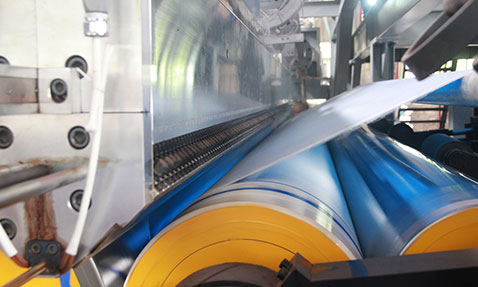 Extruder and Die Head